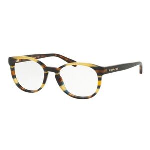 COACH EYEGLASSES HC6102 5441 Blue Honey Glitter Varsity Stripe 51mm